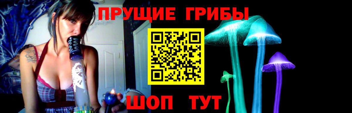 Псилоцибиновые грибы Psilocybe  Вход с VPN  Новосибирск 